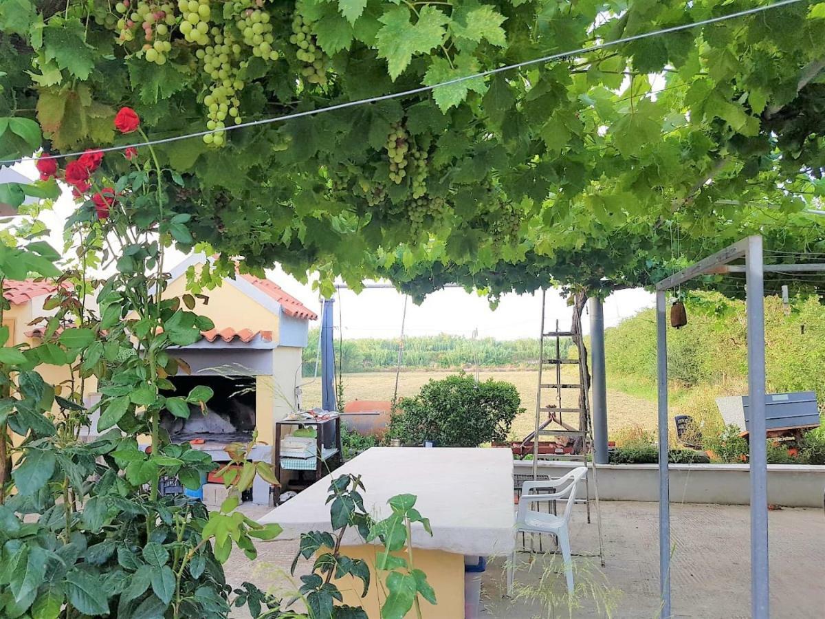 Villetta Su Barrali Orosei Εξωτερικό φωτογραφία